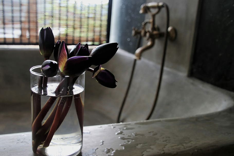 ungu, bunga, vas, atas, bak mandi, keran, air, piala, tidak ada, di bawah atap