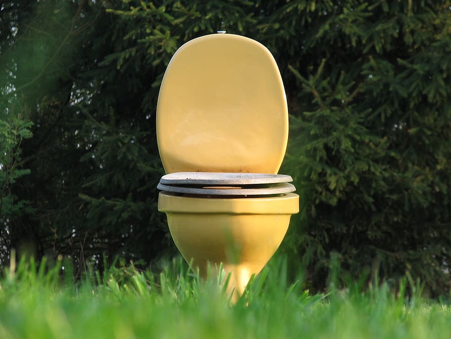 yellow, toilet bowl, green, grass field, loo, meadow, outdoor toilet, surreal, plant, grass