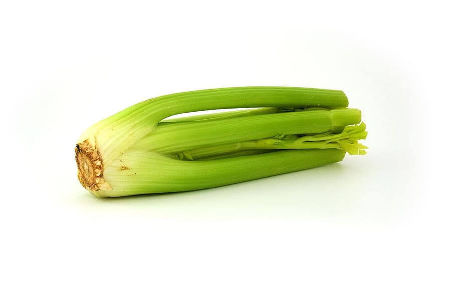 celery stalk, Celery, Vegetable, Vitamins, Veggie, healthy, food, vegetarian, organic, green color