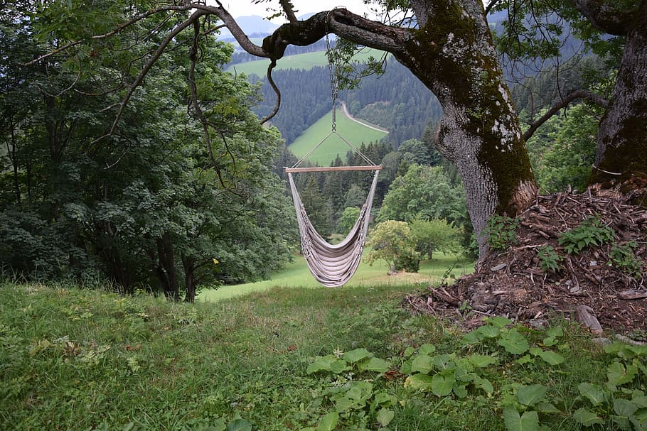 Hammock, Holiday, Forest, Meadow, forest, meadow, green, alm, hut, idyllic, nature