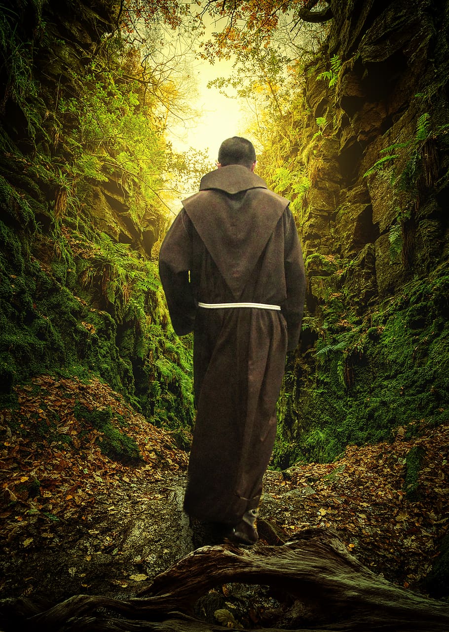 monk, forest, path, religion, temple, nature, mountain, travel, green, meditation