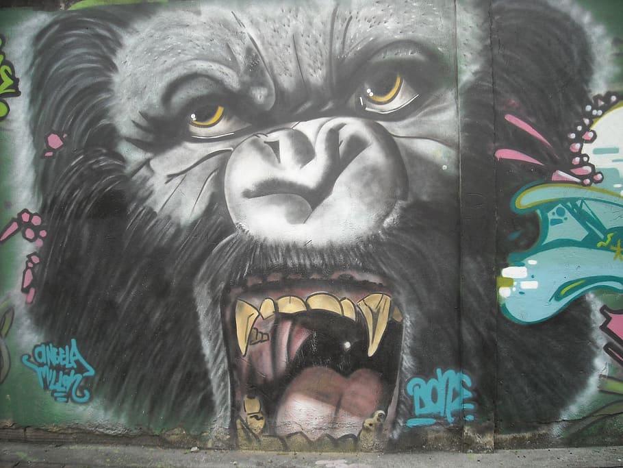 bogotá, colombia, urban art, graffiti, art and craft, representation, mammal, creativity, day, mouth