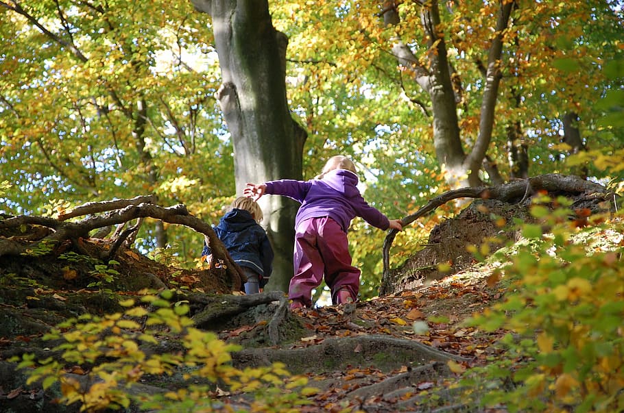 two, kids, climbing, hill, daytime, people, balance, forest, autumn, nature