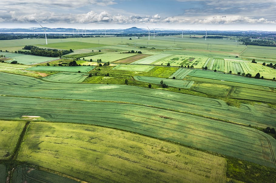aerial, view photography, green, grass field, field, agriculture, nature, earth, spring, wild