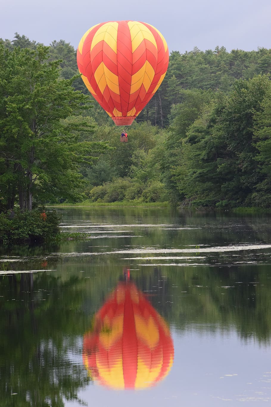 ballooning, water, nature, outdoor, air, sky, travel, plant, tree, reflection