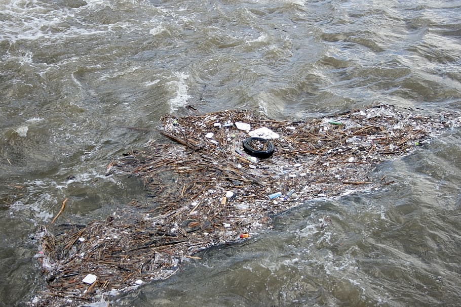 garbage, floating, body, water, daytime, river, dirt, waste, pollution, nature