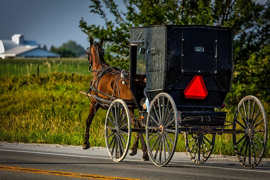 black, wooden, horse carriage, road, daytime, amish, iowa, horse, buggy, carriage