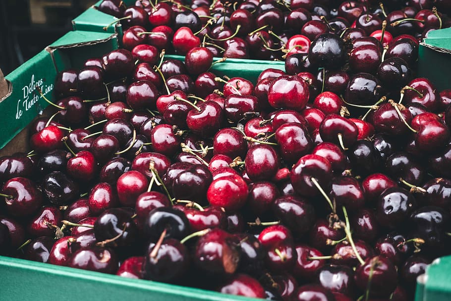 dark red cherries, Dark red, cherries, close up, farmers market, fresh, fruit, healthy, red, summer