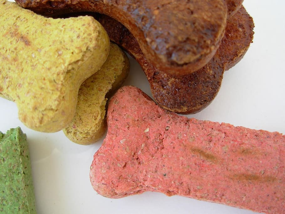 four, assorted, colored, biscuits, white, surface, dog bones, puppy, pet, dog food