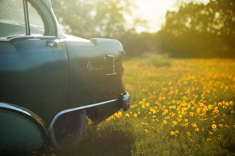 car, automotive, vintage, oldschool, field, grass, plants, flowers, nature, sunshine