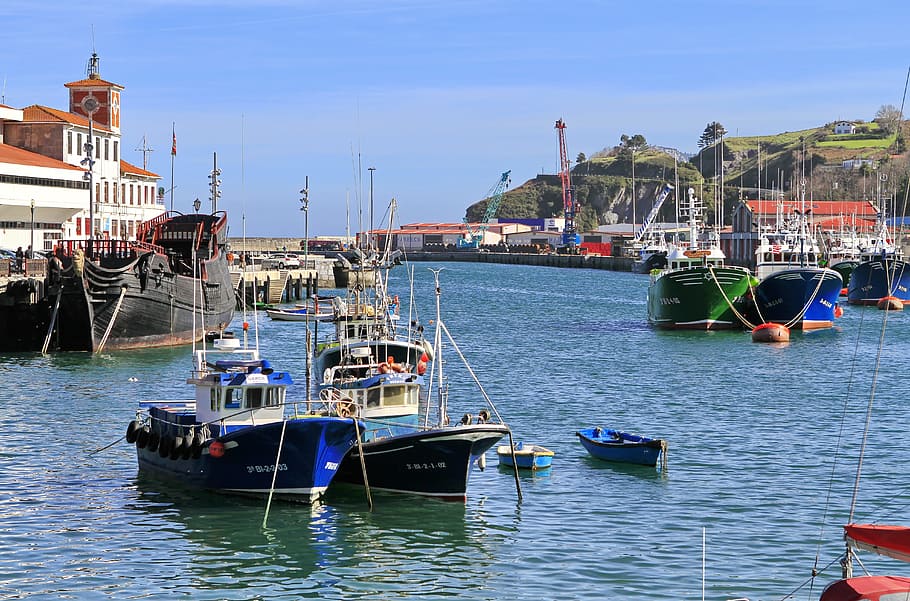 Port, Bermeo, Boats, port of bermeo, barca, merlucero, tuna, vizcaya, bizkaia, euskadi