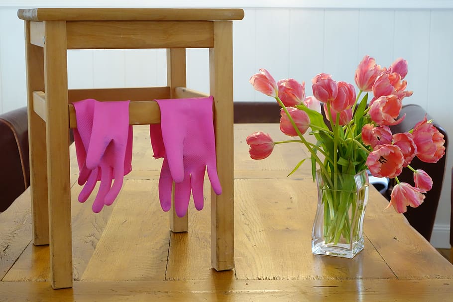 frühjahrsputz, plaster gloves, pink, stool, tulips, vase, flower, flowering plant, plant, beauty in nature