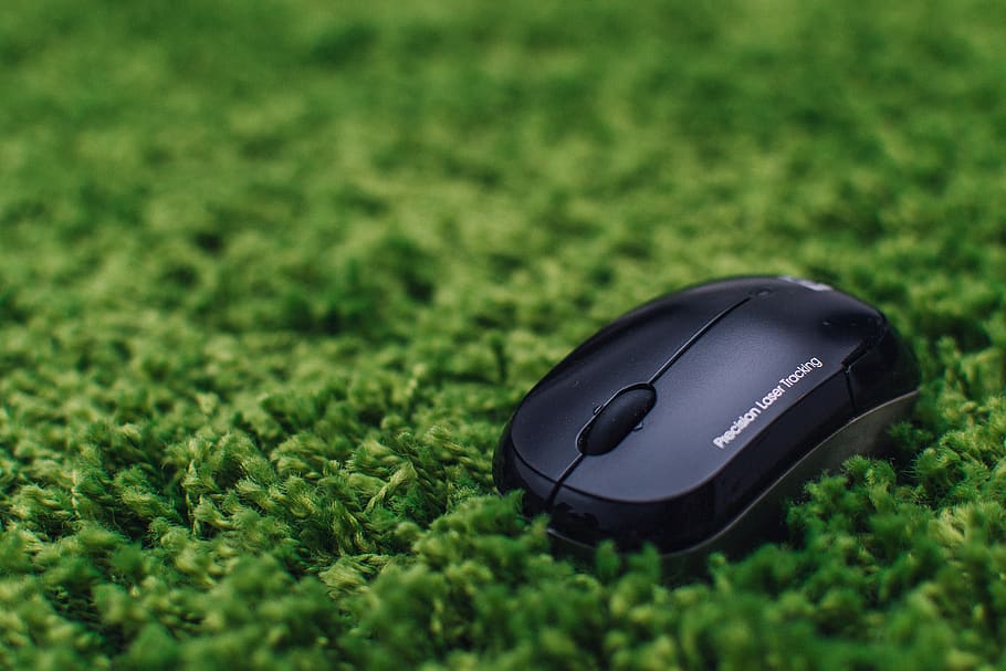 mouse, business, technology, computer, green, grass, plant, green color, black color, computer mouse