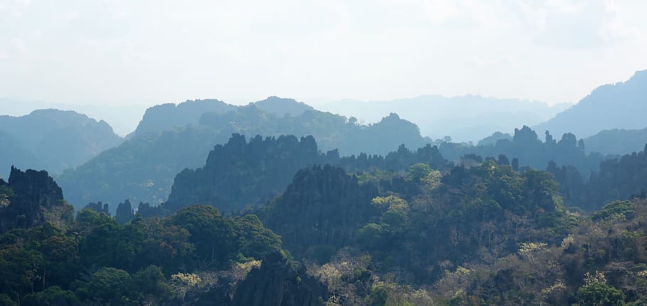 laos, limestone forest, stone forest, the scenery, the mountains, tree, scenics - nature, beauty in nature, mountain, fog