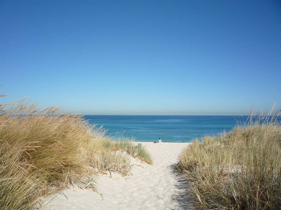 person, sitting, white, sand, fremantle beach, sea, ocean, family, swimming, summertime