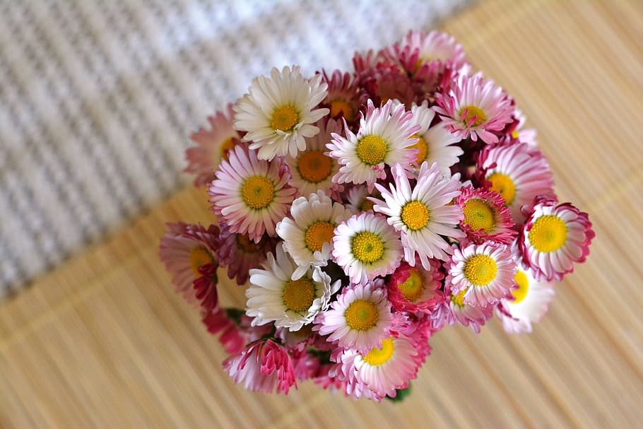 white-and-pink daisies, vase, white, pink, Daisies, bouquet, flowers, decoration, the delicacy, daisy