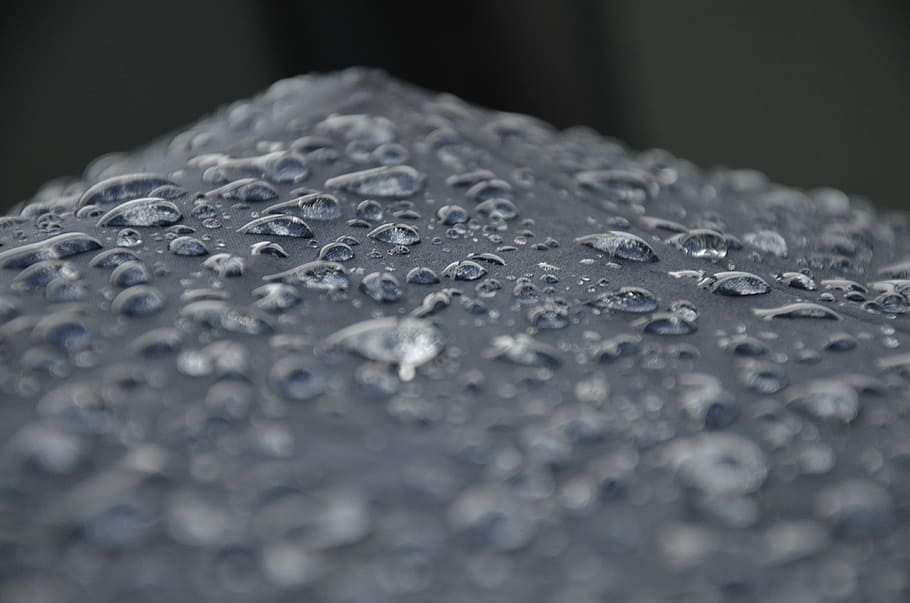 dew droplets, black, surface, close, photography, panel, raindrop, rain drops, water, selective focus