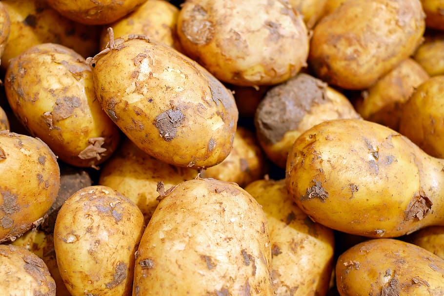 closeup, photography, brown, potatoes, vegetables, erdfrucht, food, carbohydrates, raw potatoes, new potatoes
