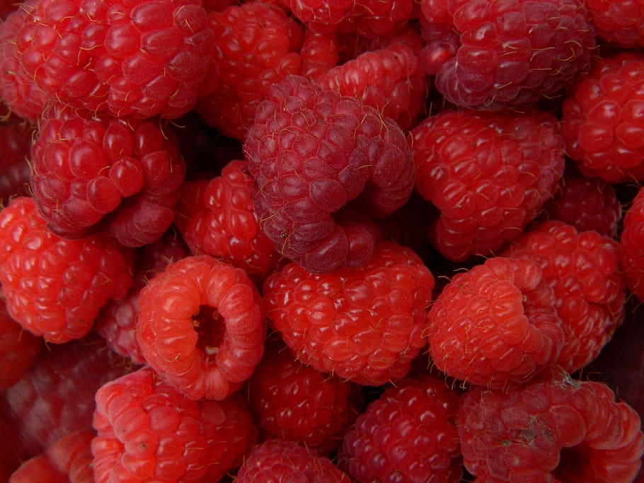 buah, raspberry, merah, musim panas, dekat, makanan, kesegaran, matang, buah beri, alam