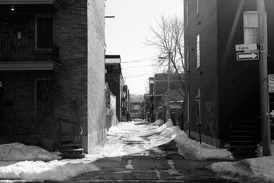 grayscale photo, two, buildings, snow, pavement, daytime, grayscale, street, photography, road