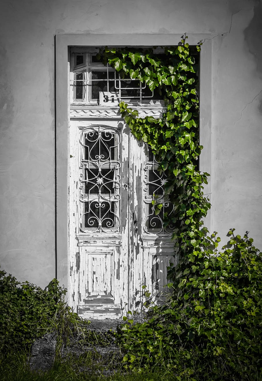 白い木製のドア, ドア, 植物, 建物, 古い, ロム, 過去, 放棄された建物, 風化, 放棄された