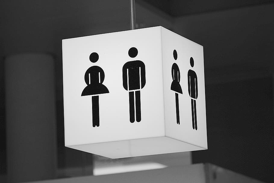 Laki-laki kotak-kotak yang dihidupkan, perempuan, lampu gantung cetak, toilet umum, wc, toilet, perisai, pria, wanita, publik