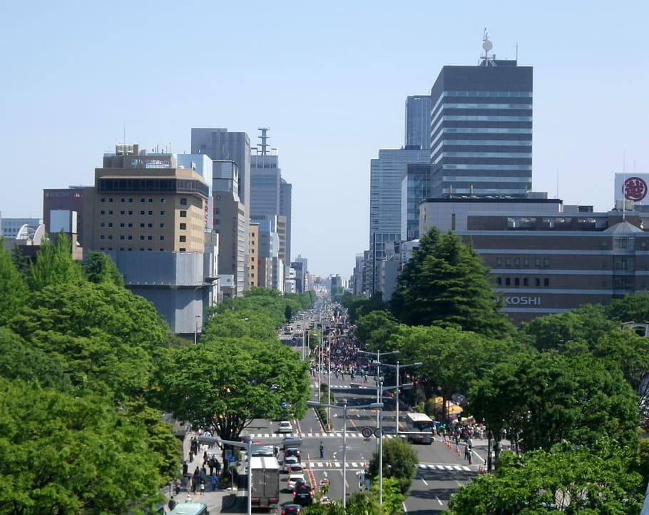 sendai aoba matsuri, celebrada, avenida higashi-ni-banchō-dōri, Desfile, Sendai, Aoba, Matsuri, Higashi, Ni, banchō