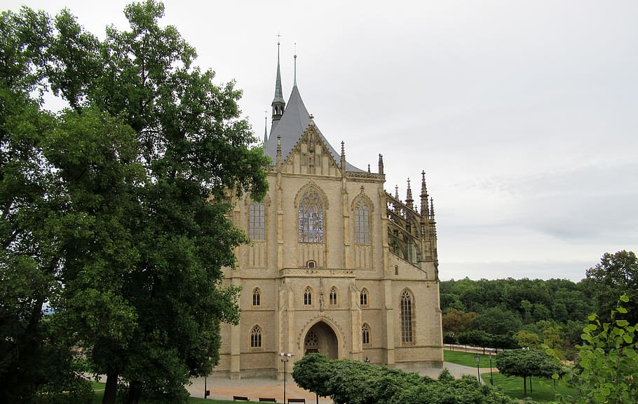czech republic, kutna-hora, cathedral of st barbara, tree, plant, built structure, architecture, sky, place of worship, building exterior