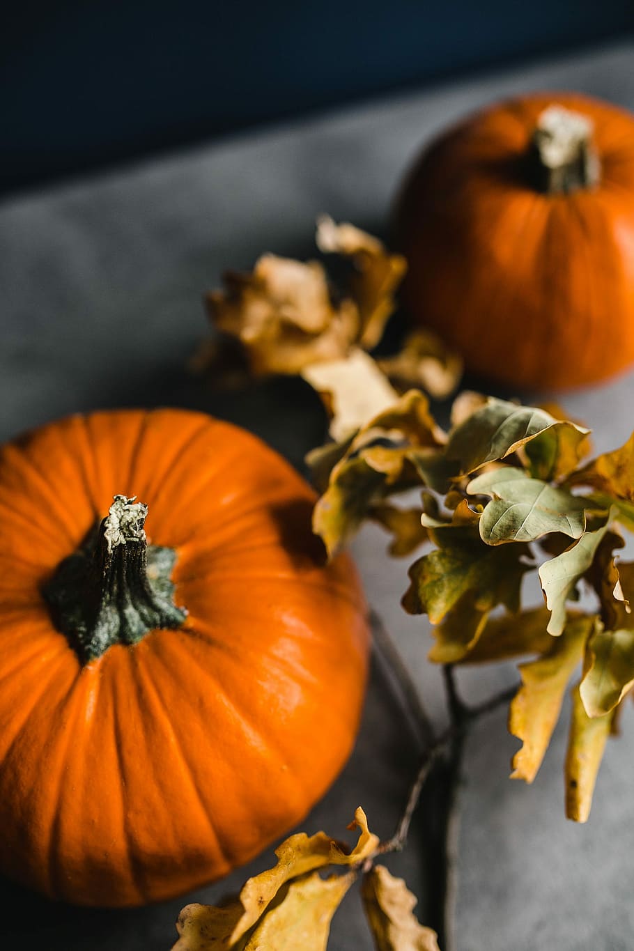 calabaza de otoño, Otoño, Calabaza, halloween, acción de gracias, color naranja, temporada, vegetal, decoración, octubre