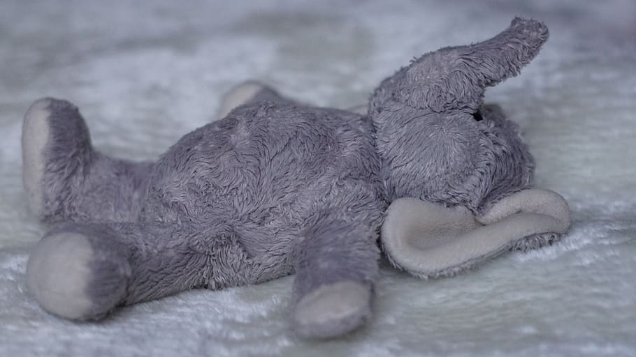 background, concerns, relax, soft toy, stuffed animal, elephant, small, sweet, cuddly, grey