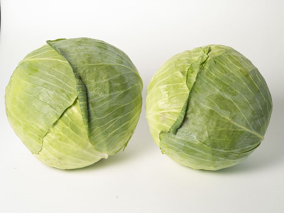white, cabbage, greens, studio shot, food and drink, healthy eating, food, white background, wellbeing, freshness