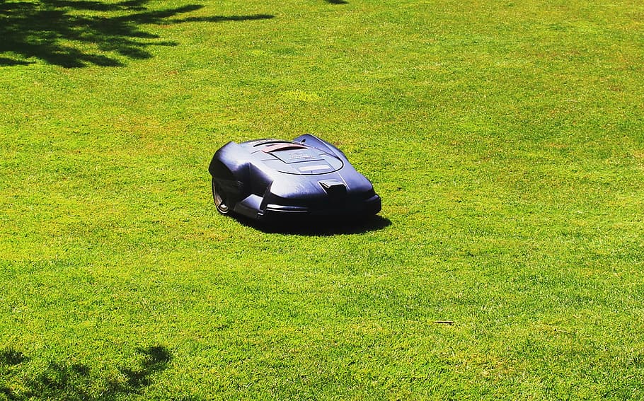 black, plastic container, grass, rush, maintained, lawn mower, robot, sunny, plant, green color