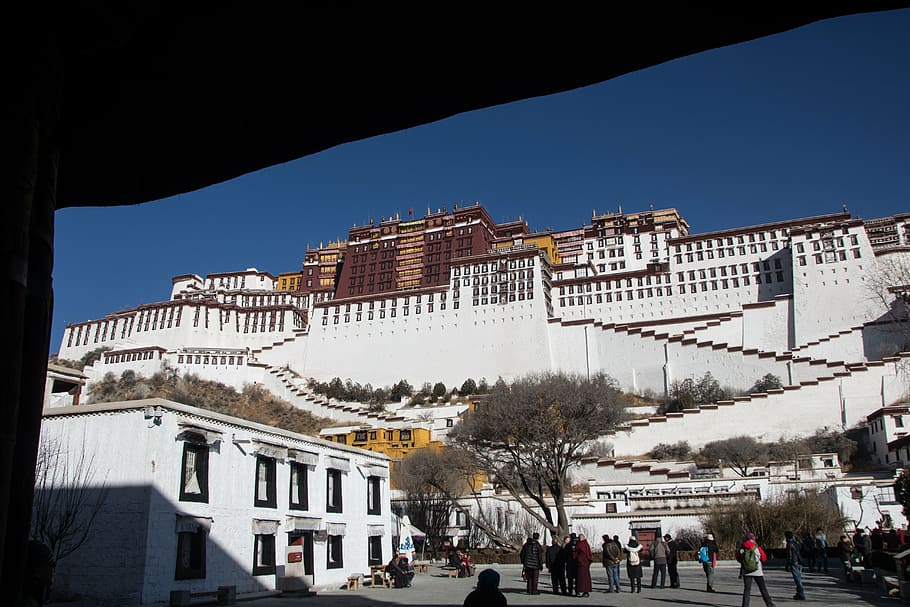 tibet, lhasa, potala, istana potala, biara, buddha, arsitektur, eksterior bangunan, struktur yang dibangun, pohon