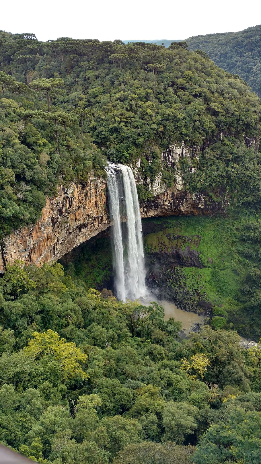 lawn, waterfall, landscape, brazil, nature, cascade, water, plant, tree, scenics - nature