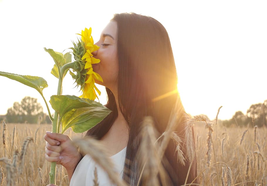 woman, wearing, white, top, holding, yellow, sunflower, standing, brown, field