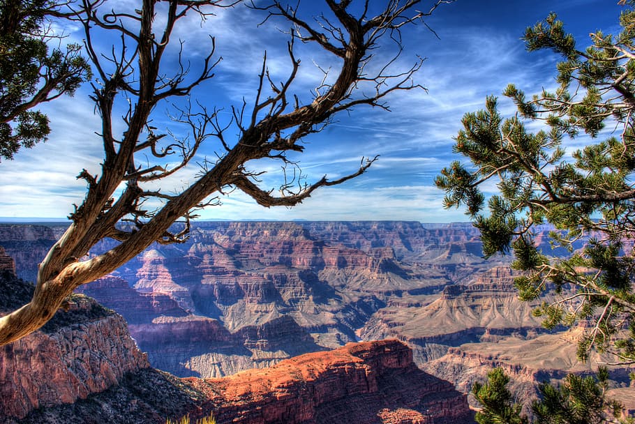 Gran Cañón, Arizona, cañón, geológico, parque, naturaleza, viajes, paisaje, desierto, América