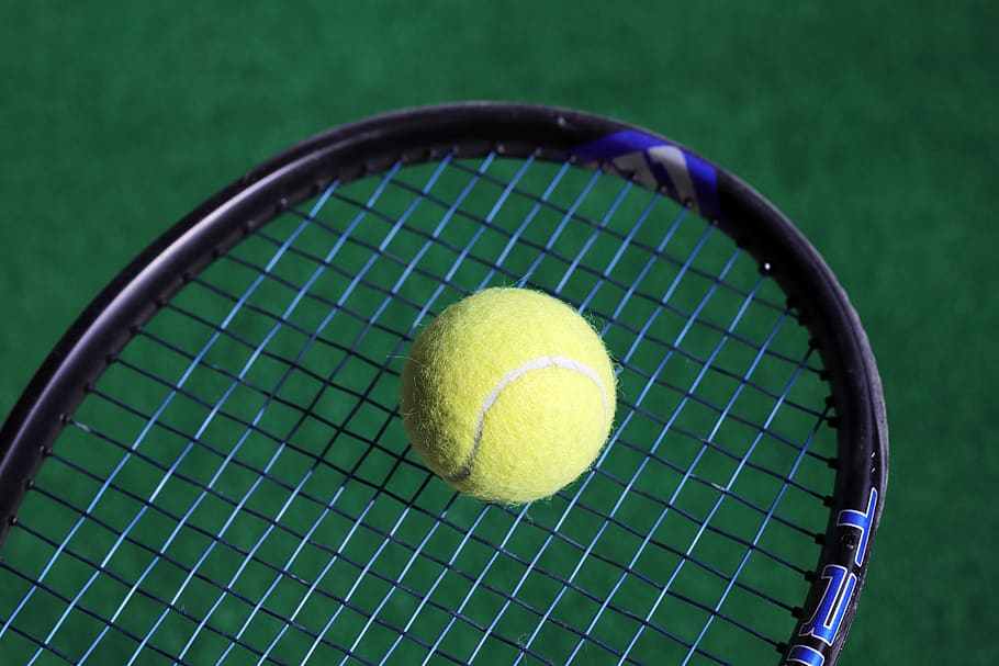 racket, tennis, sport, ball, exercise, players, health, games, leisure, tennis racket
