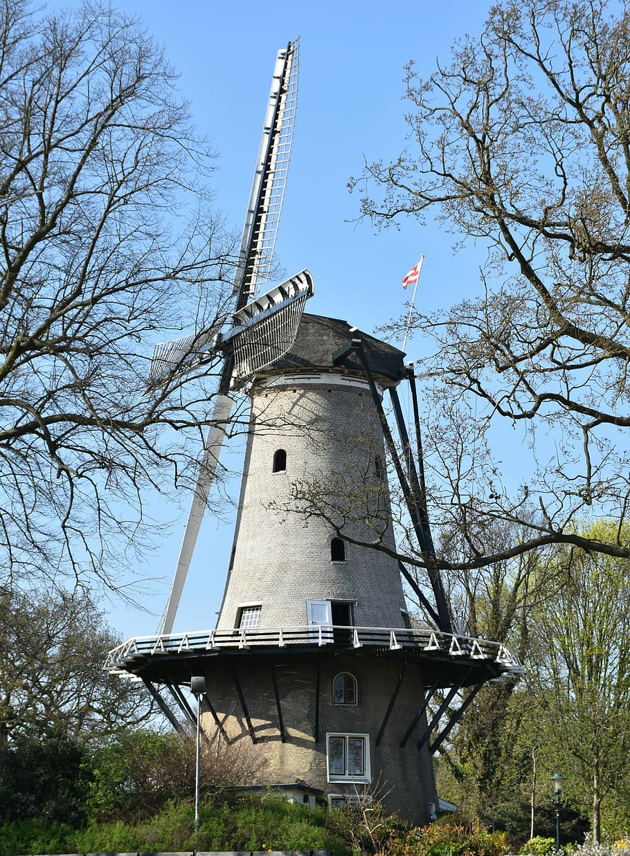 mill, wind mill, dutch mill, wicks, mill blades, mill detail, historic mill, alkmaar, tree, sky