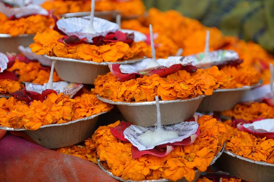 India, Lilin, Hindu, Agama, Budaya, asia, bunga, api, upacara, tradisional