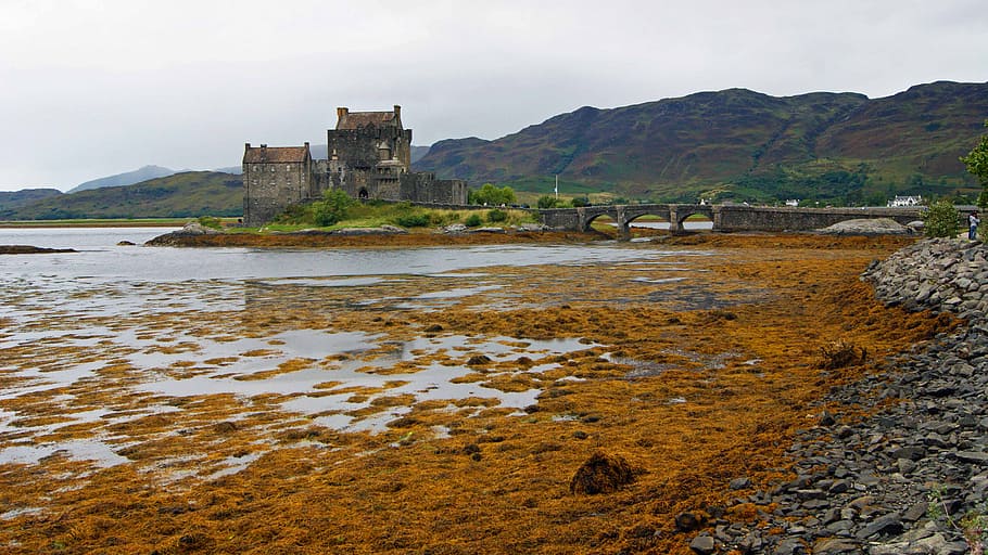 Donnan, castelo, bancos, Loch Duich, casa de madeira marrom, arquitetura, água, estrutura construída, exterior do edifício, céu