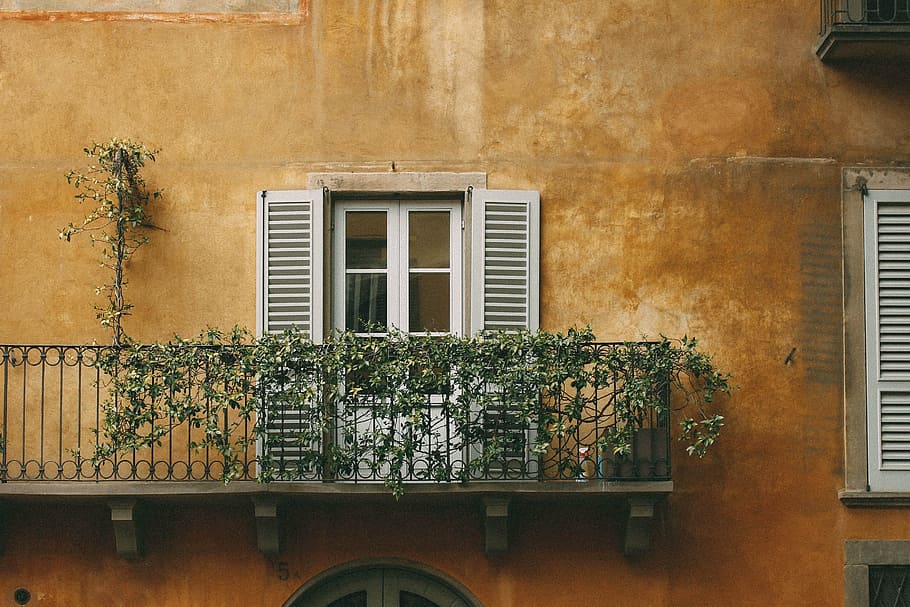 opened, door, brown, building, white, green, vine plants, wooden, balcony, window