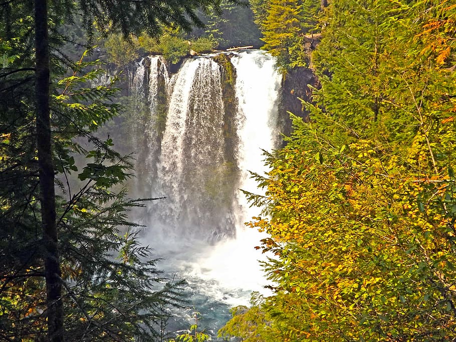 滝, マッケンジー川, オレゴン, 風景, 自然, 川, 水, 緑豊かな, 霧, 木