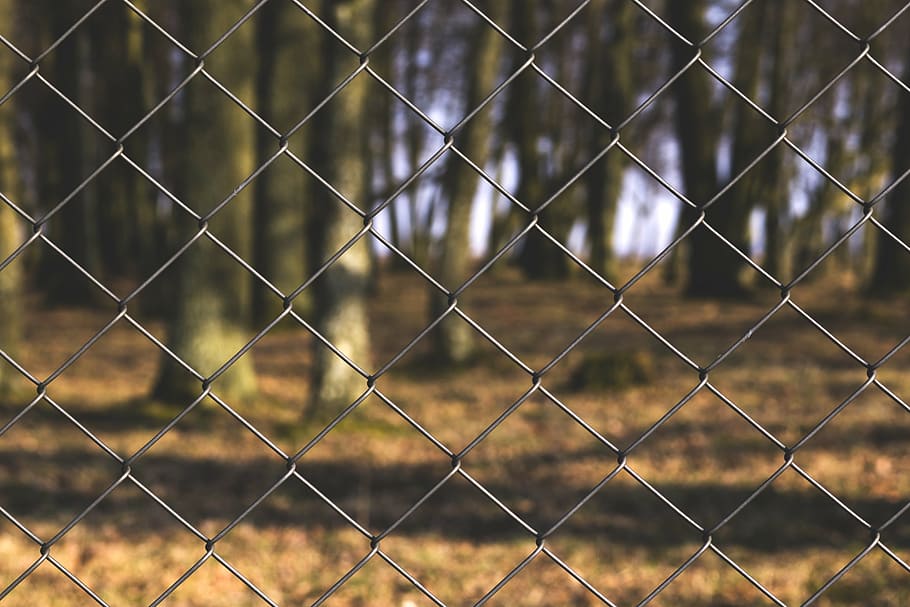 selective, focus photography, gray, chain link fence, stainless, steel, cyclone, fence, chainlink, park