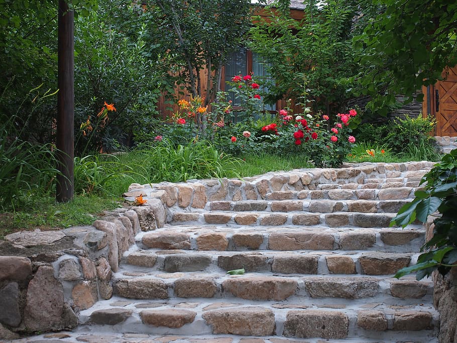 garden, stairs, background, stroll, plant, staircase, nature, architecture, growth, wall