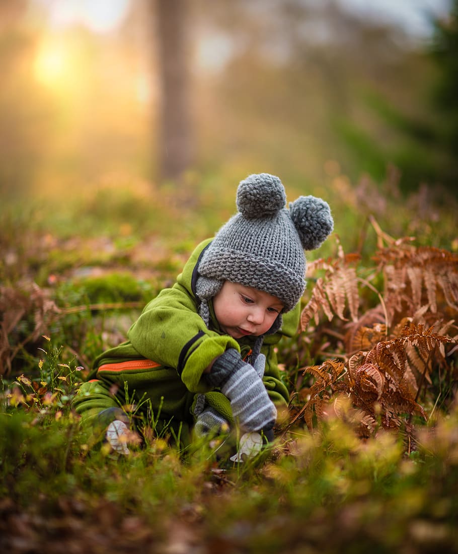 grass, green, leaf, fall, people, kid, child, baby, toddler, outdoor