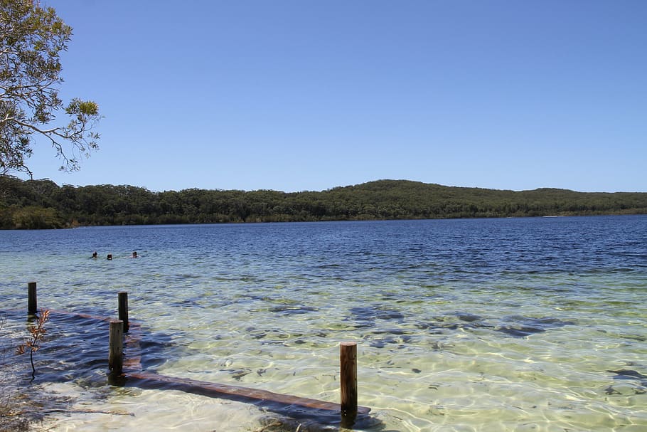 nature, west australia, australia, gold coast, noosa, spring, fraser island, freshwater lake, lake mckenzie, water