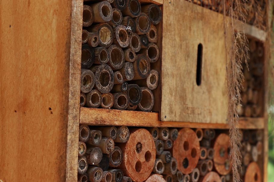 insect hotel, habitat, brown, wood, wood - material, close-up, full frame, backgrounds, door, pattern