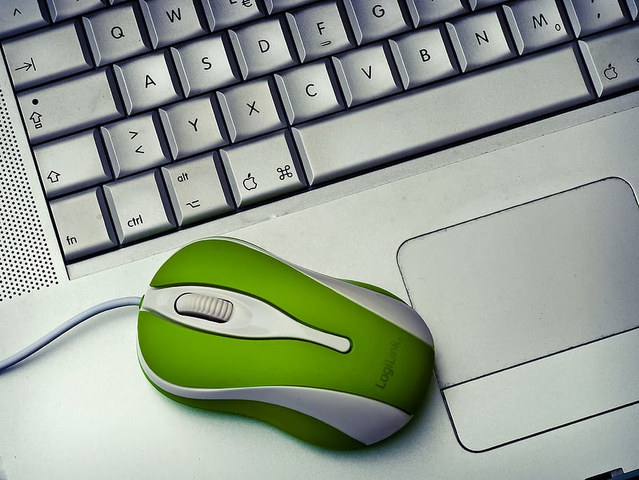 green, white, logitech mouse, gray, laptop, notebook, computer, work, keyboard, office