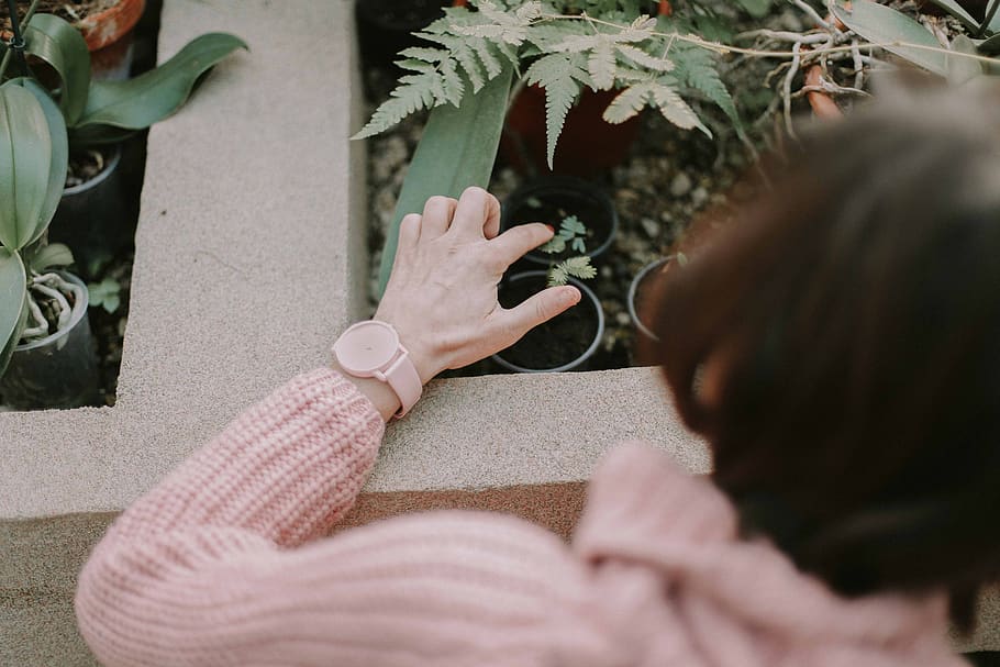 people, old, woman, sweater, watch, time, accessories, garden, plants, green
