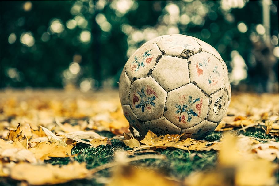 focus photo, white, soccer ball, leaves, soccer, ball, sports, grass, ground, team sport - Pxfuel